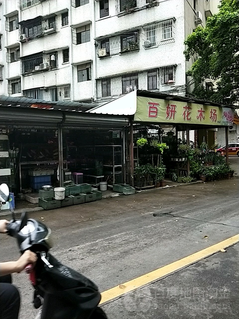 百妍花木场