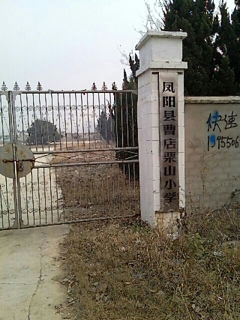 地址(位置,怎么去,怎么走):  安徽省滁州市凤阳县刘府镇曹店栗山小学