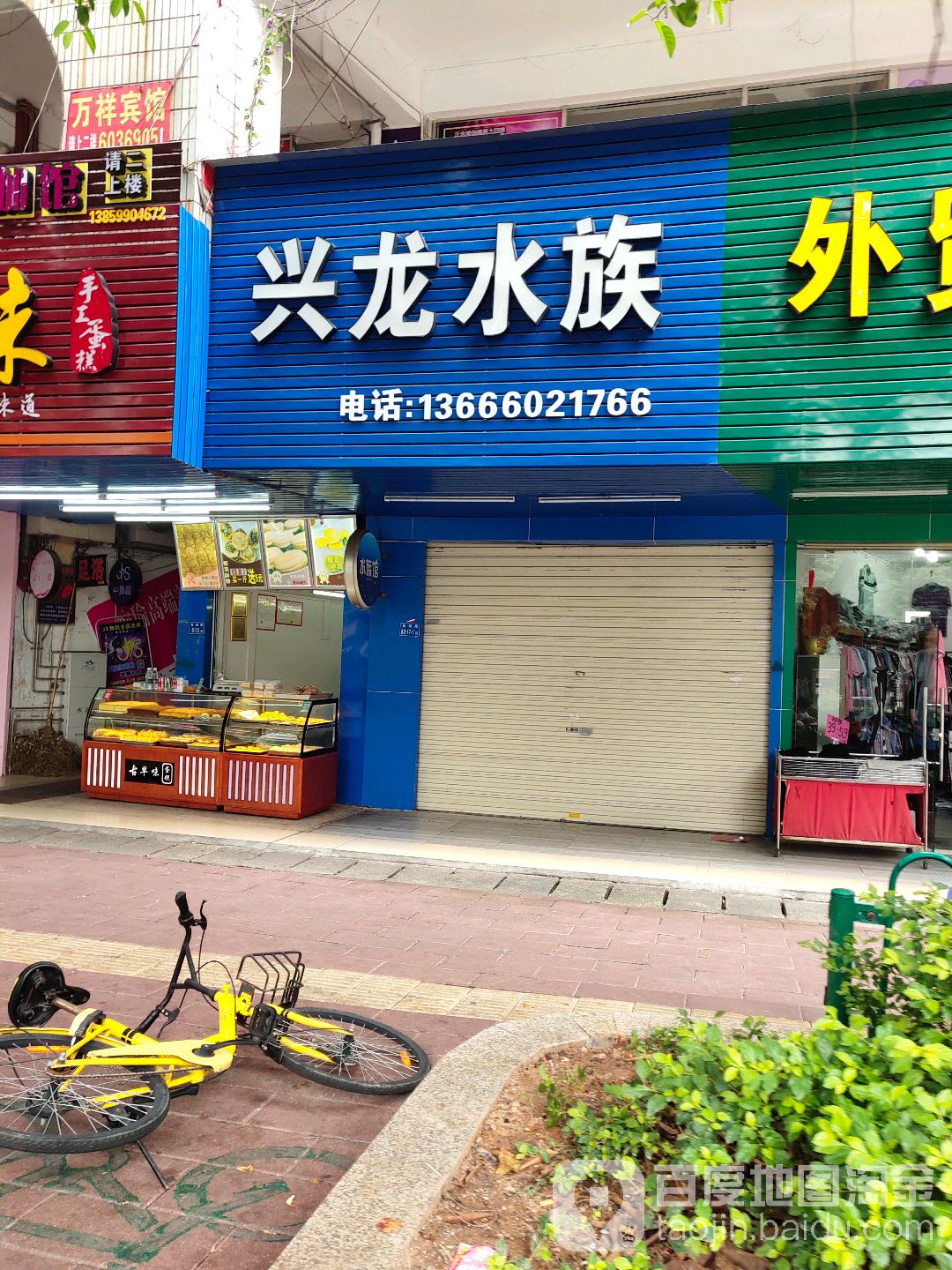 兴龙水族(嘉园路店)