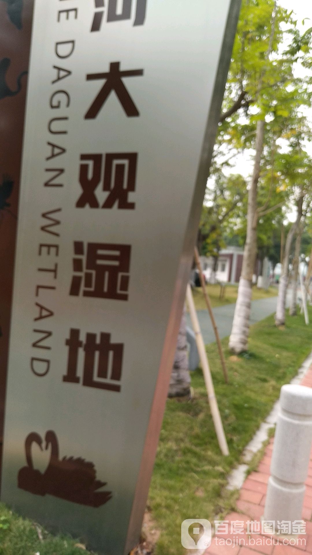 京大观湿地-篮球场