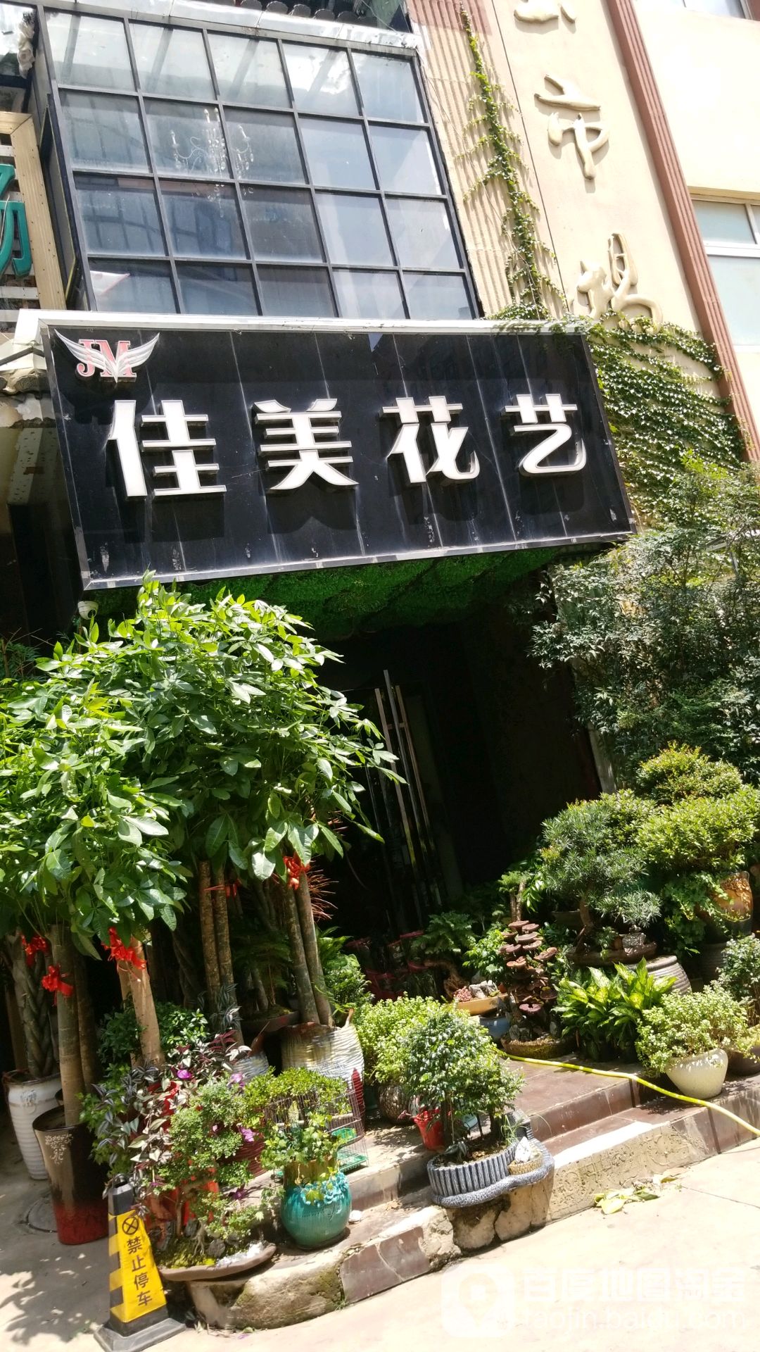 佳美花一(花鸟市场店)