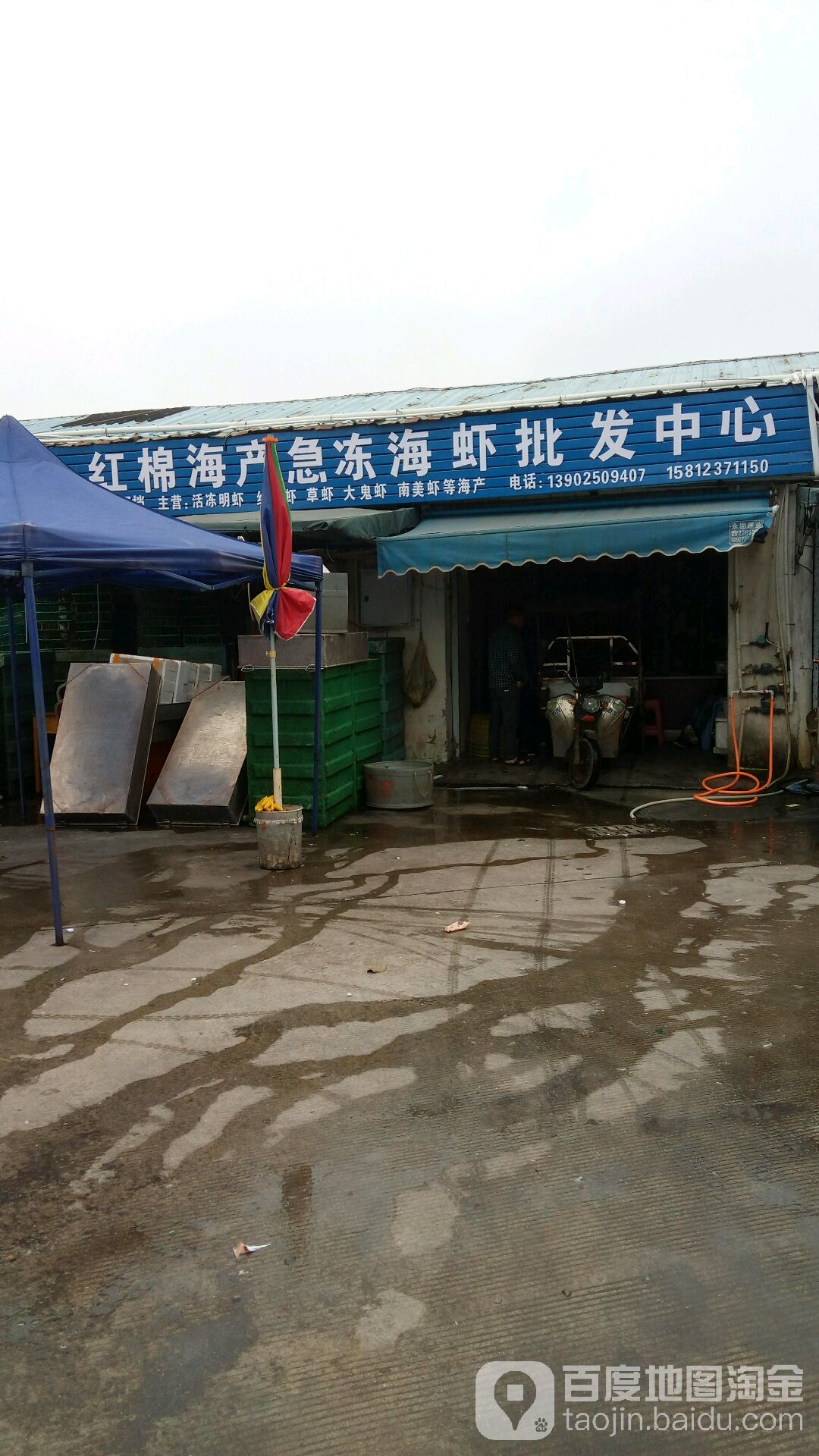 红棉海产急冻海虾批发中心