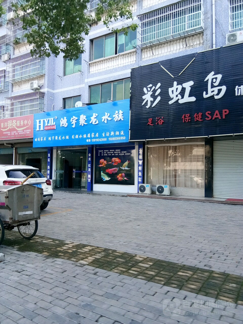 鸿宇巨龙水族