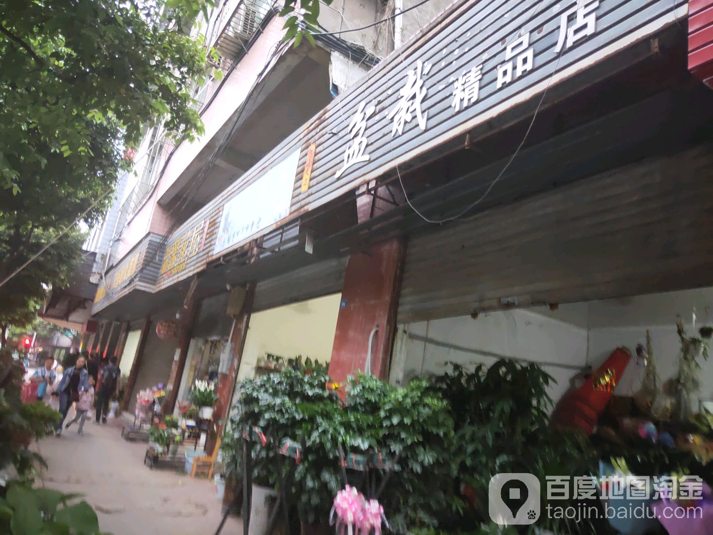 学府大道盆栽精品店