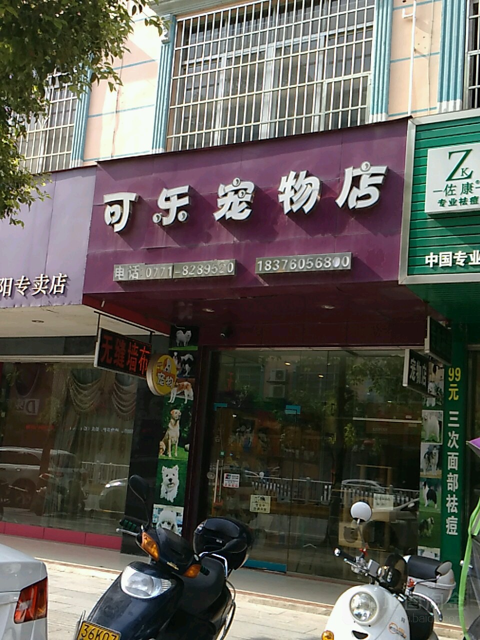 可樂寵物店