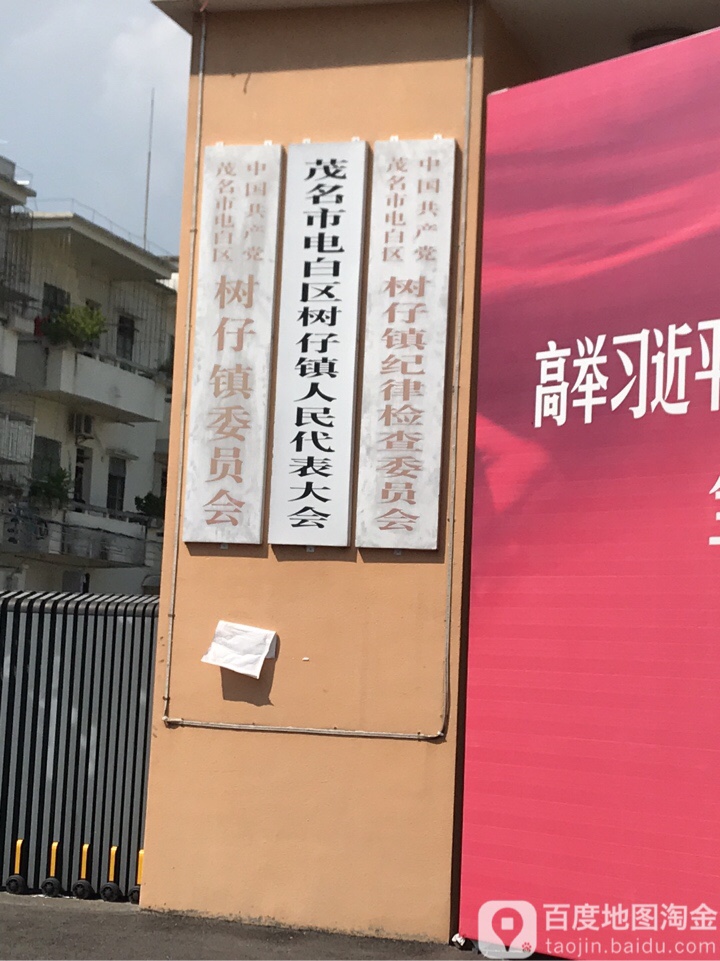 中国共产党茂名市电白区树仔镇委员会