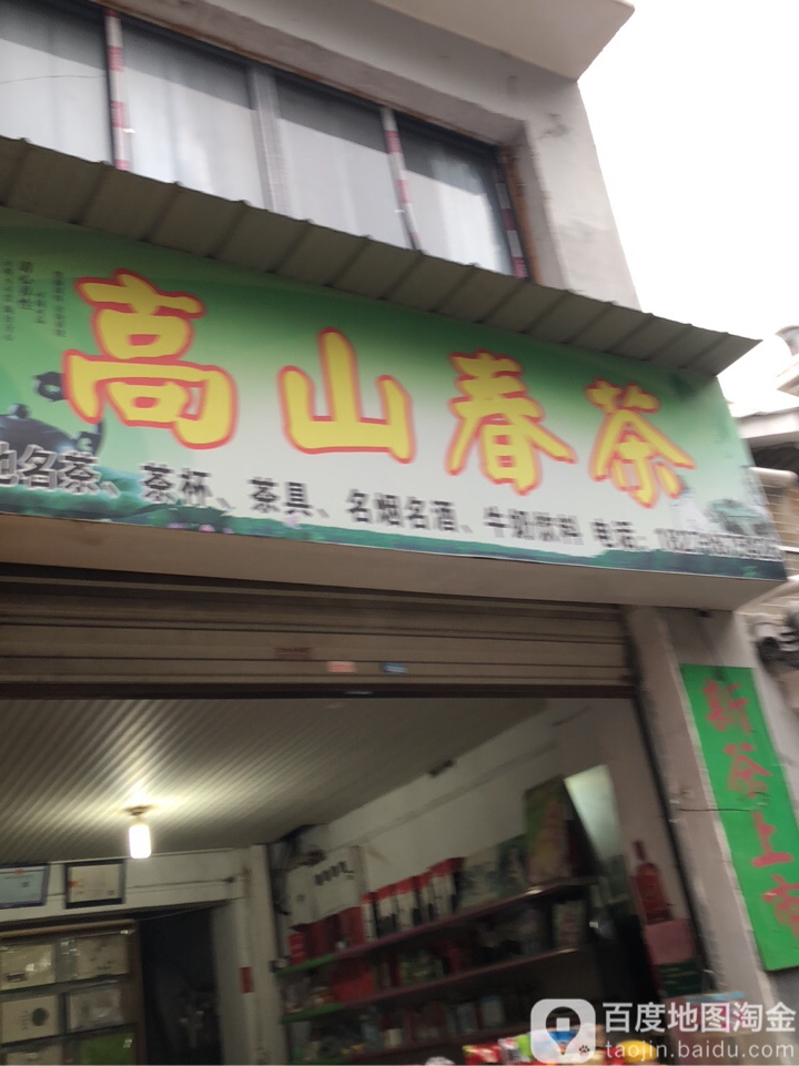 高山春茶
