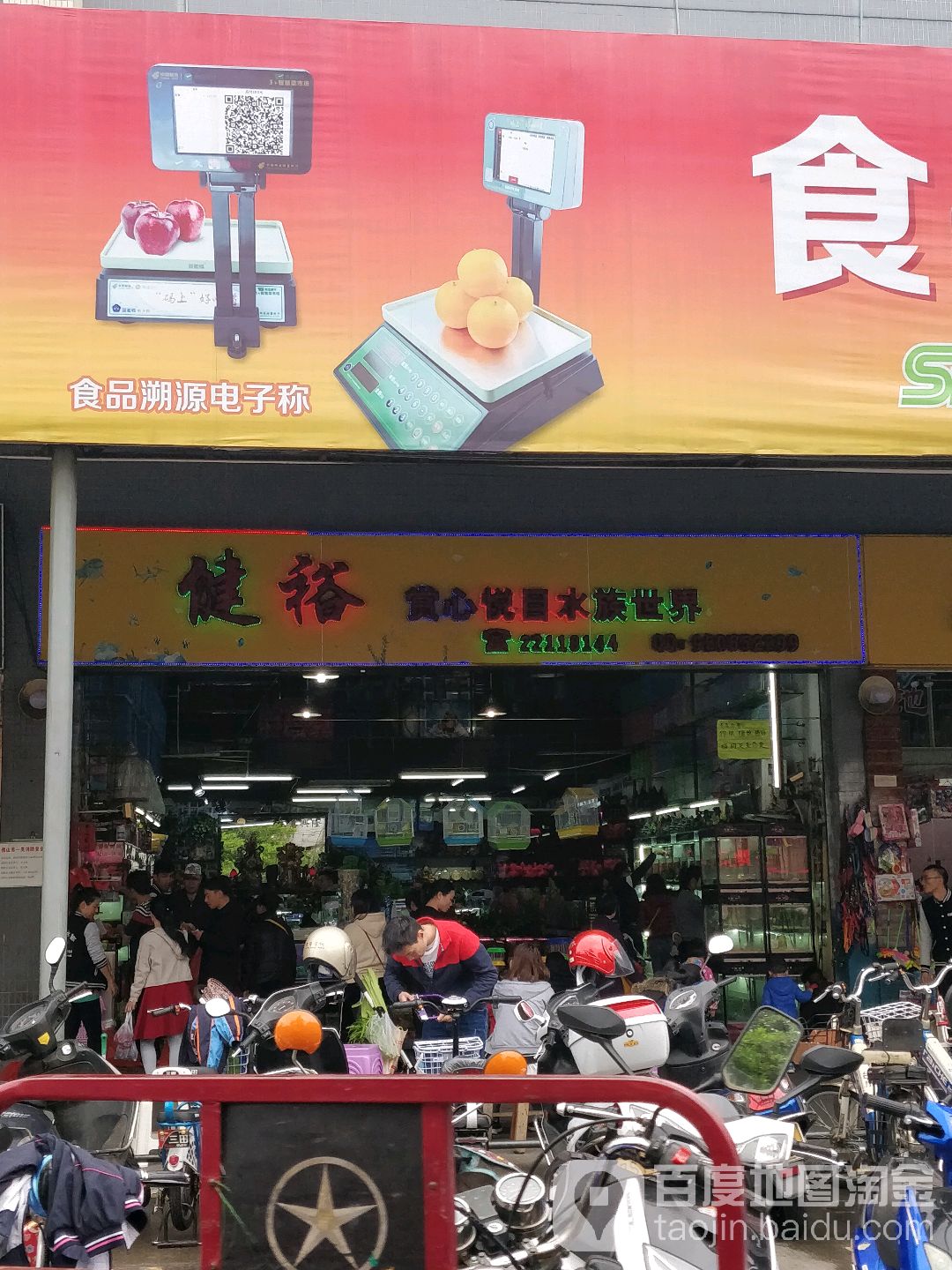 健裕水族金鱼店