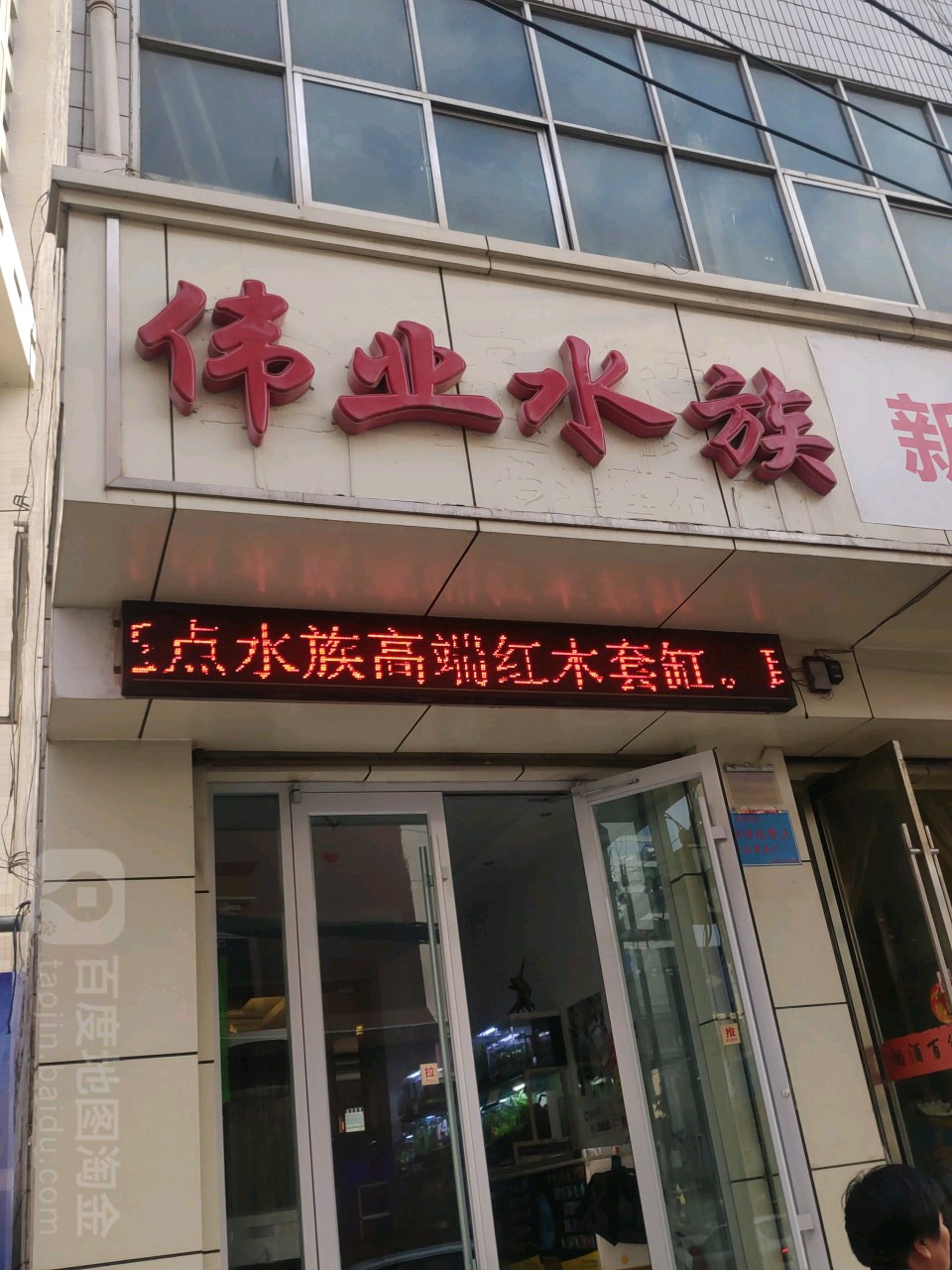 伟业水族(兰州城关万达广场店)