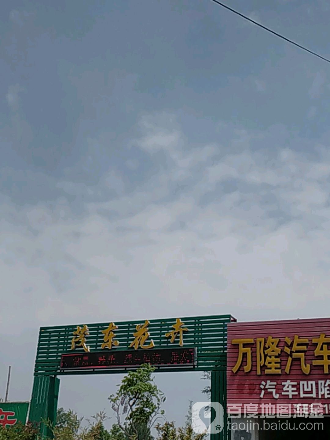 茂东花卉