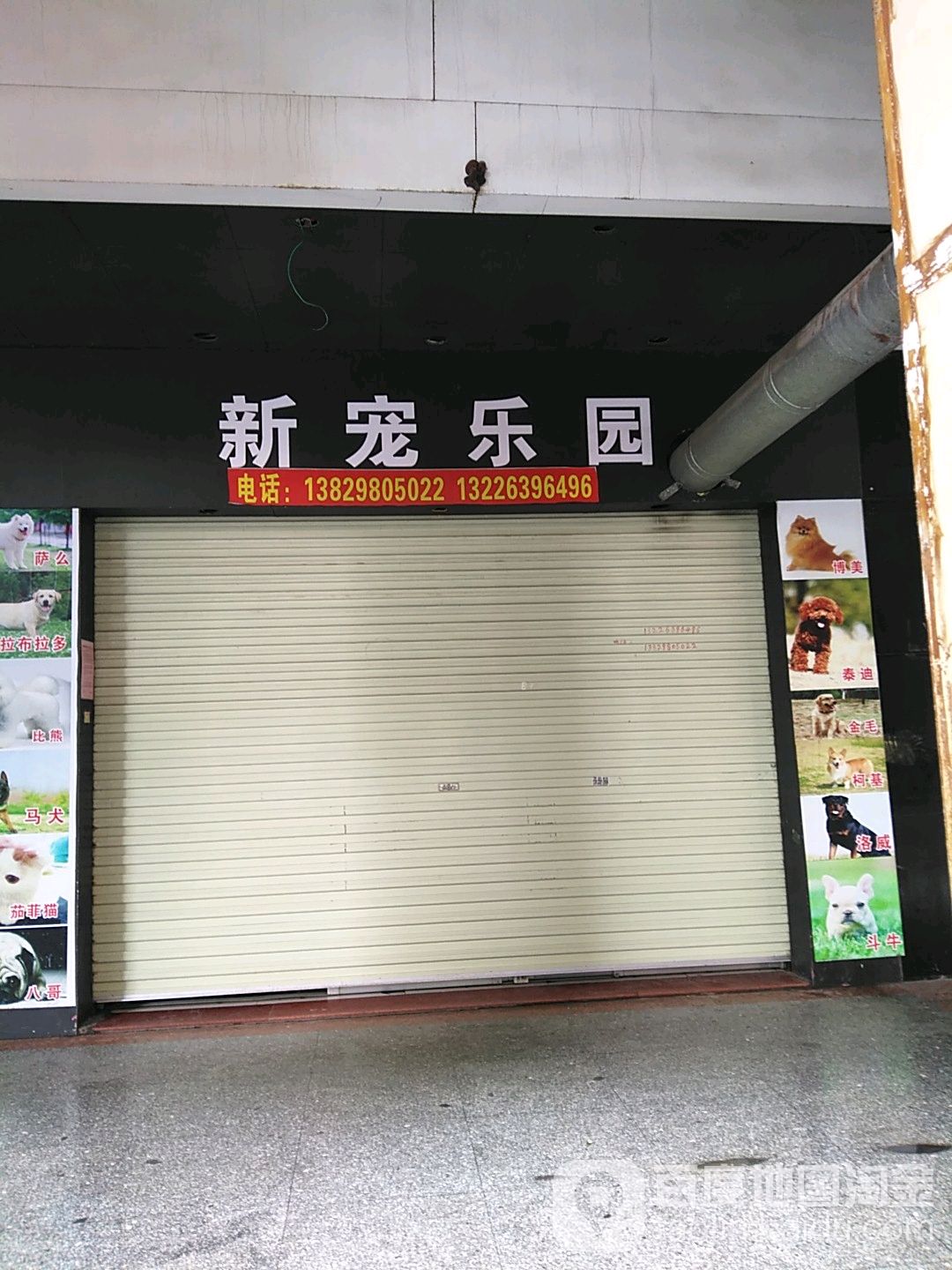 新宠乐园