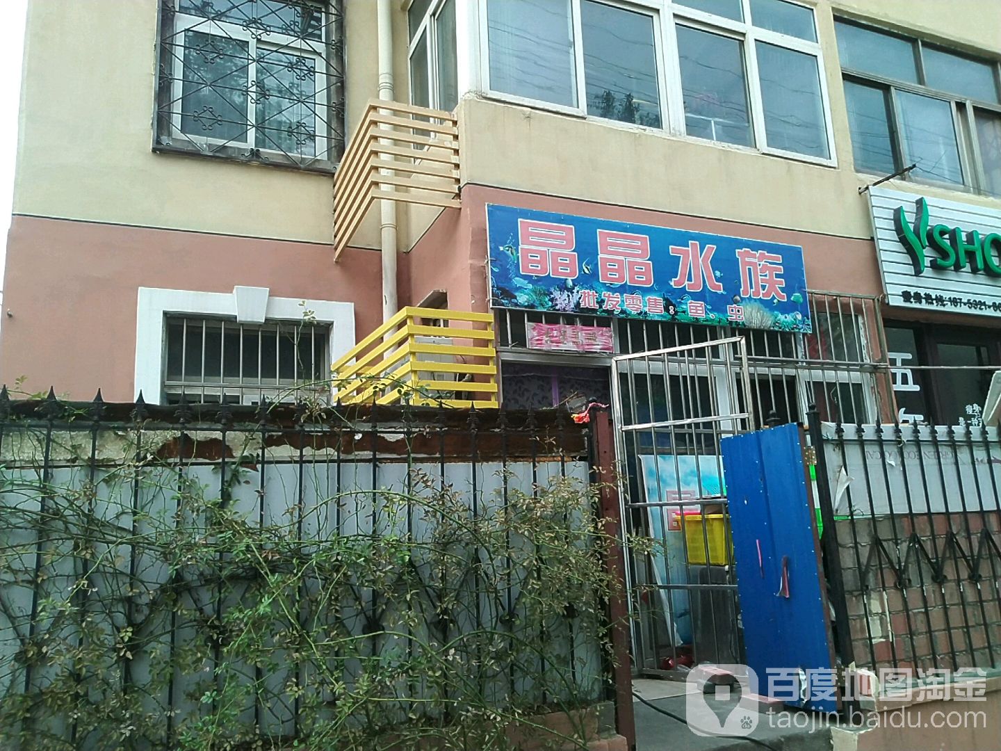 晶晶水族