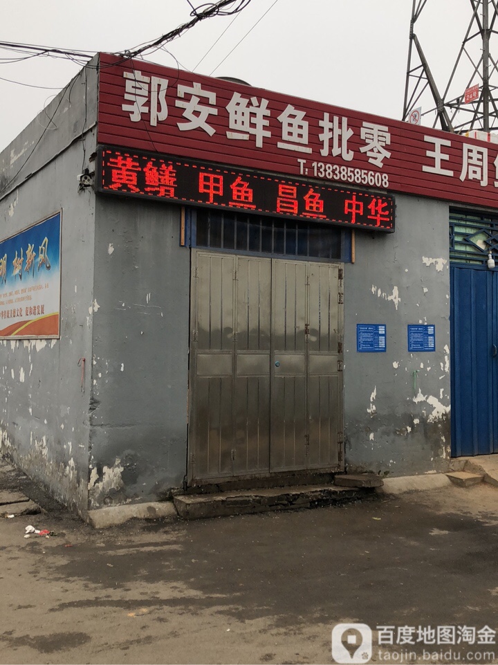 巩义市郭安鲜鱼批零