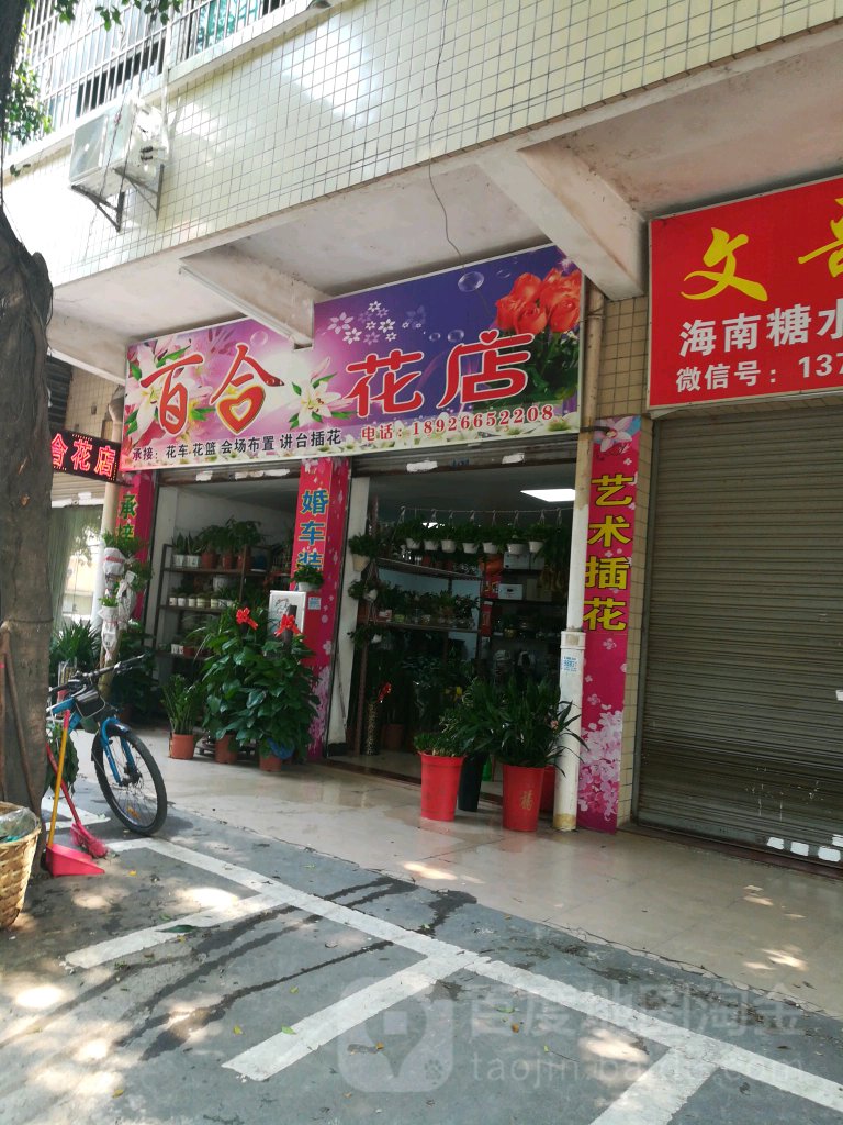 百合花店(新龙一街店)