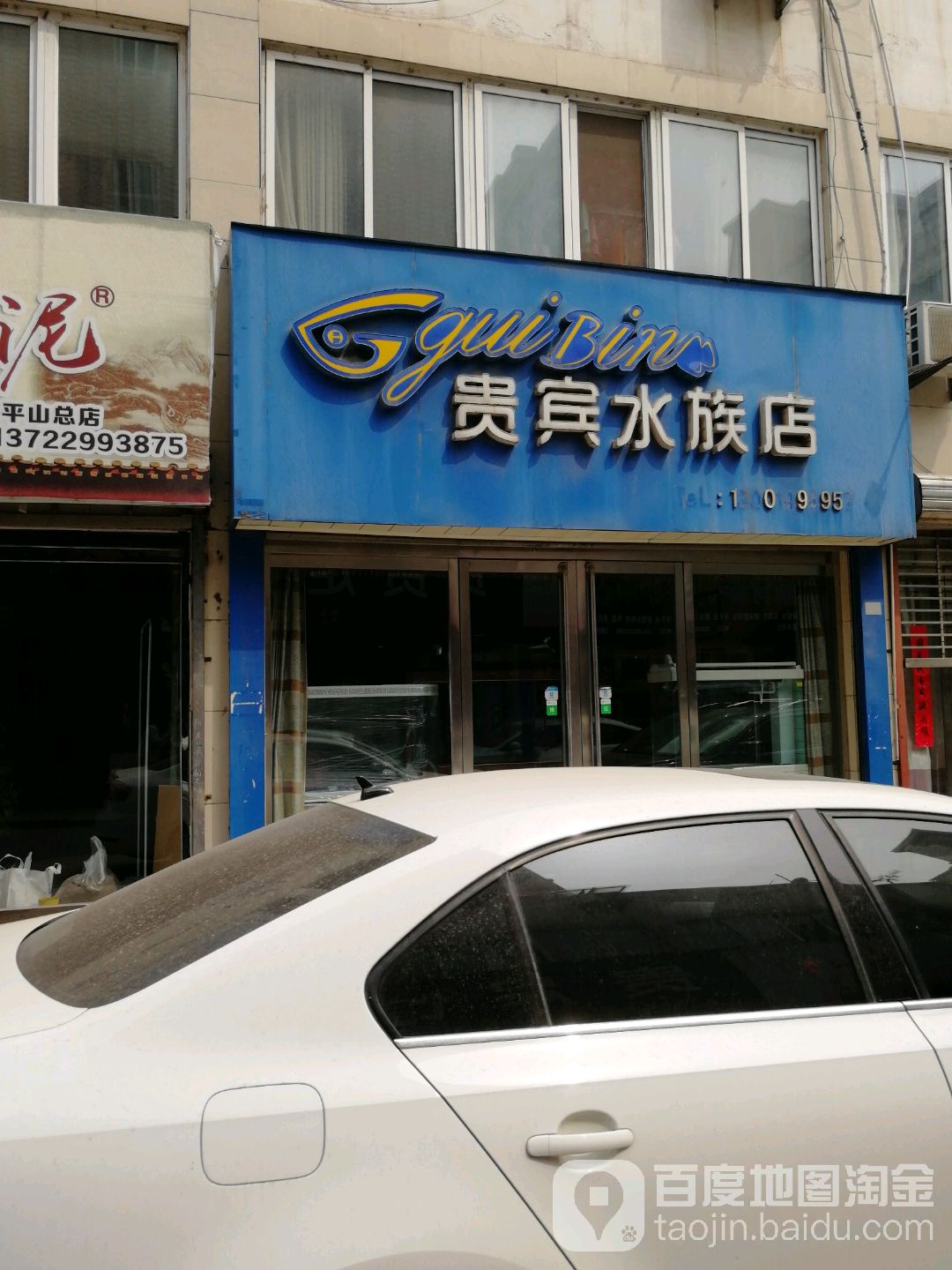 贵宾水族店