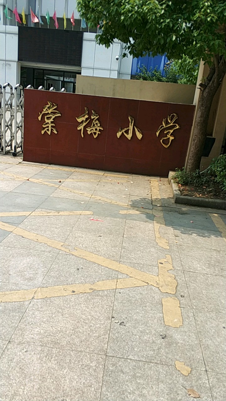 芜湖市棠梅小学