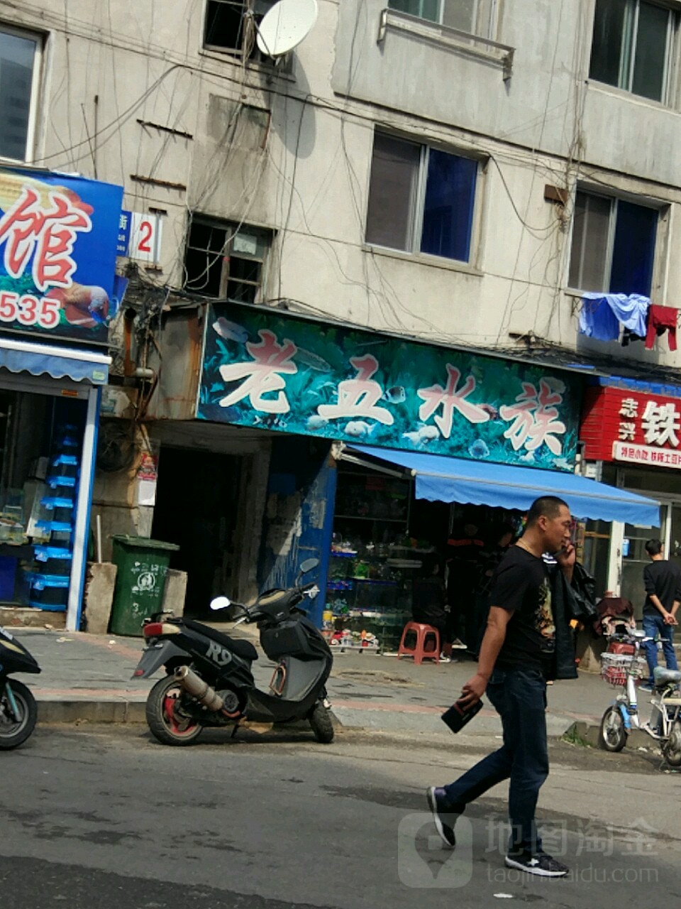 老五水族