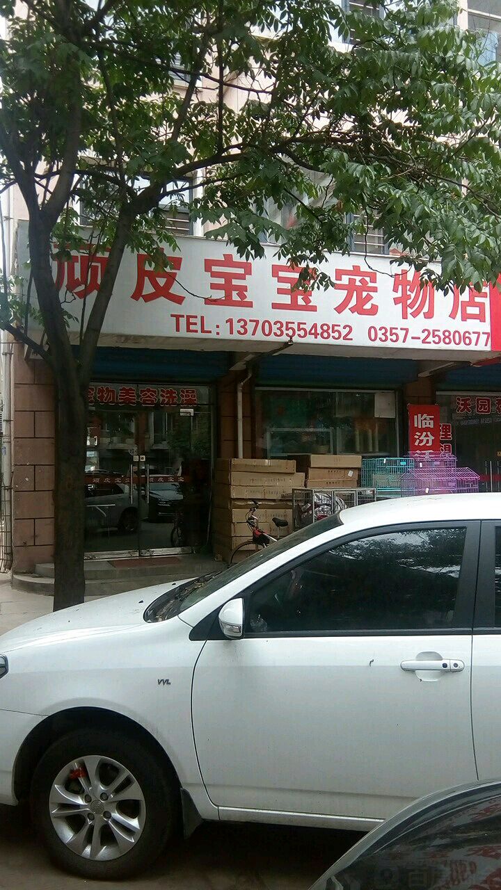 顽皮宝宝宠物店