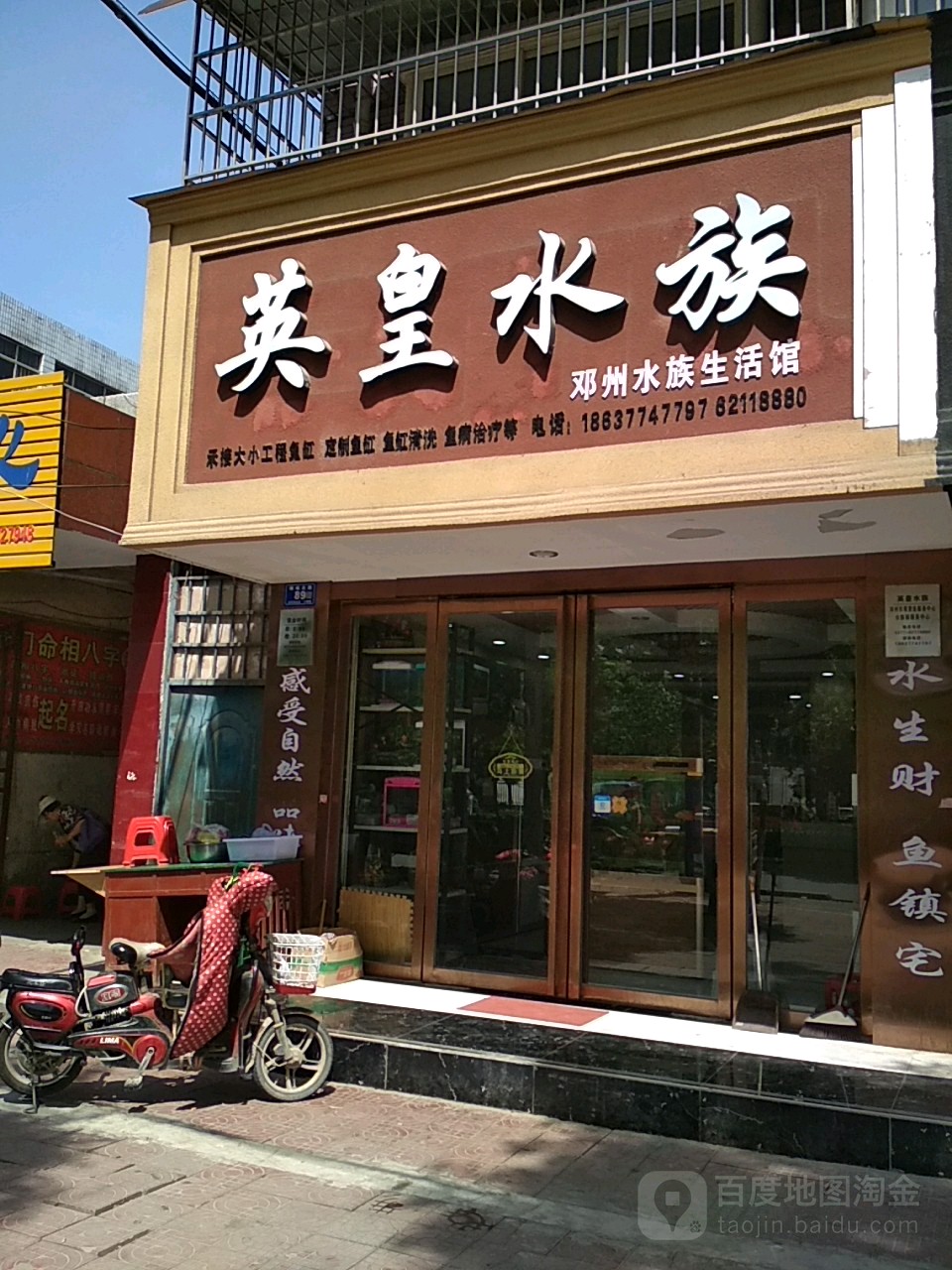 邓州市英皇水族(邓州旗舰店)