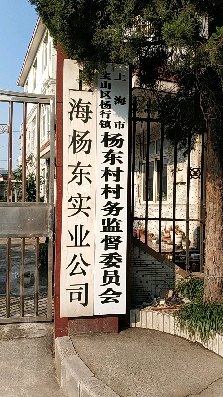 上海杨东实验公司