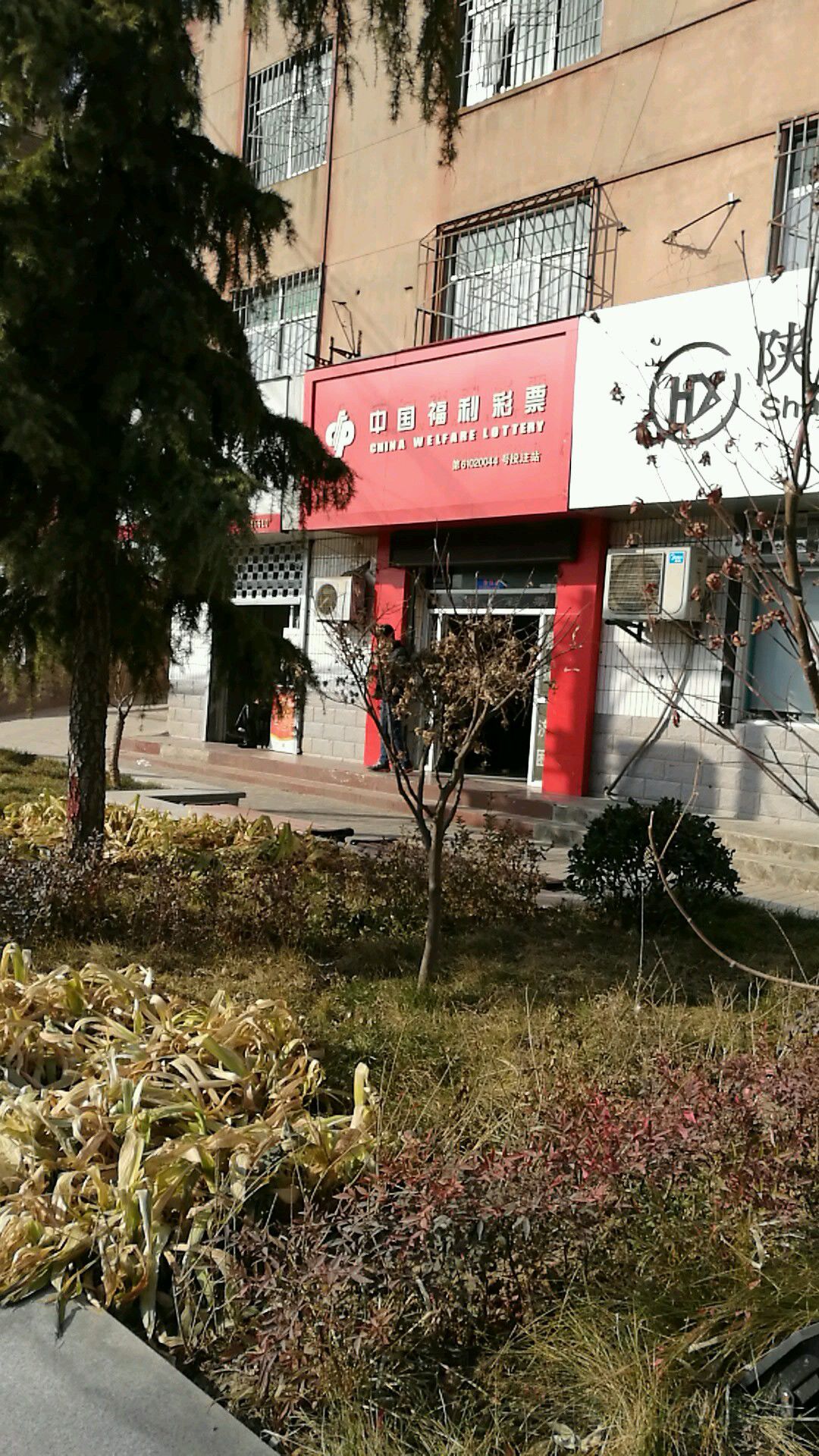 中国福利彩票(宜阳街店)