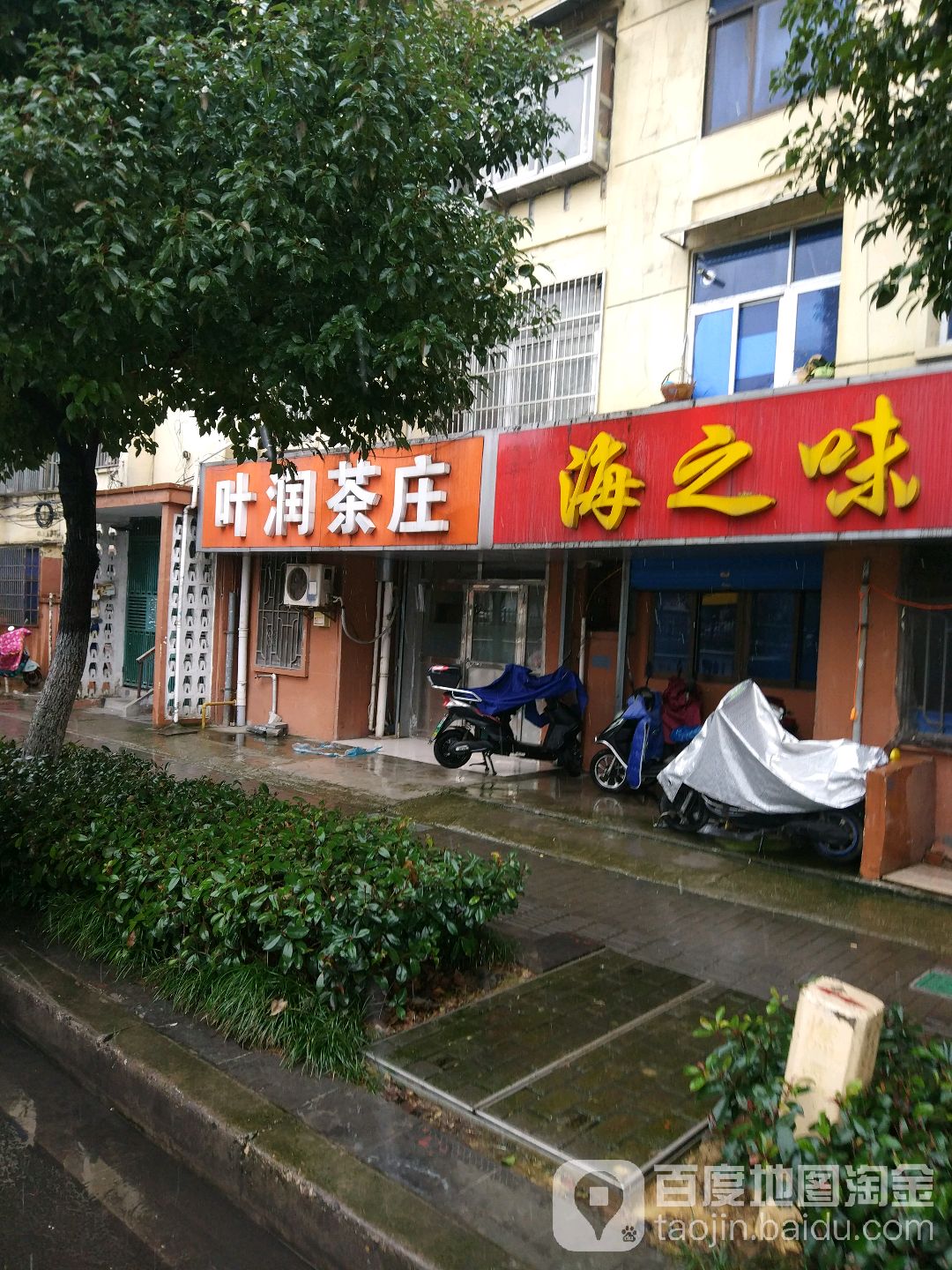 叶润茶庄