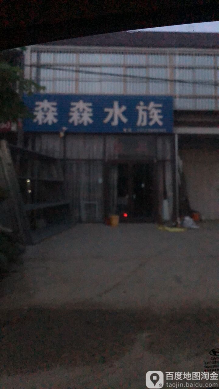 森森水族(QG3县道店)