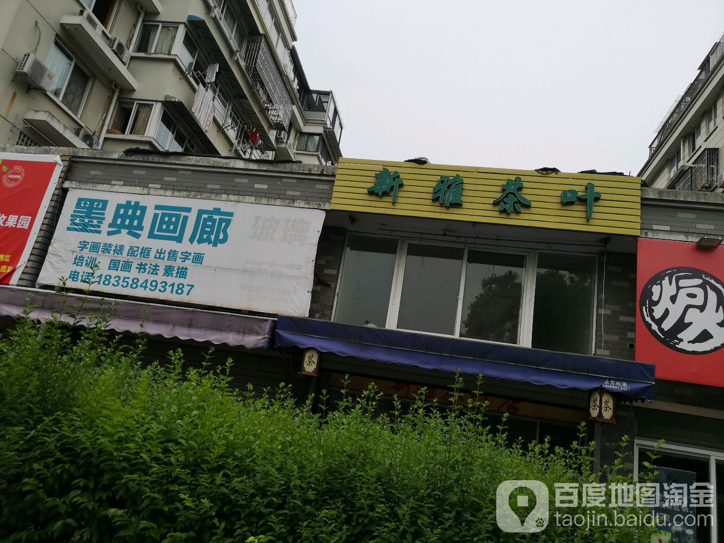 新雅茶叶
