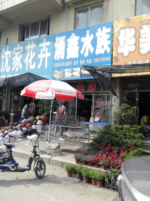 涌鑫水族(辰州路店)