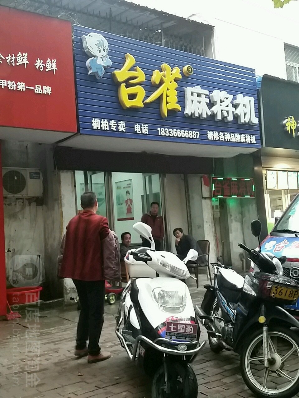 台雀麻将机(桐柏店)