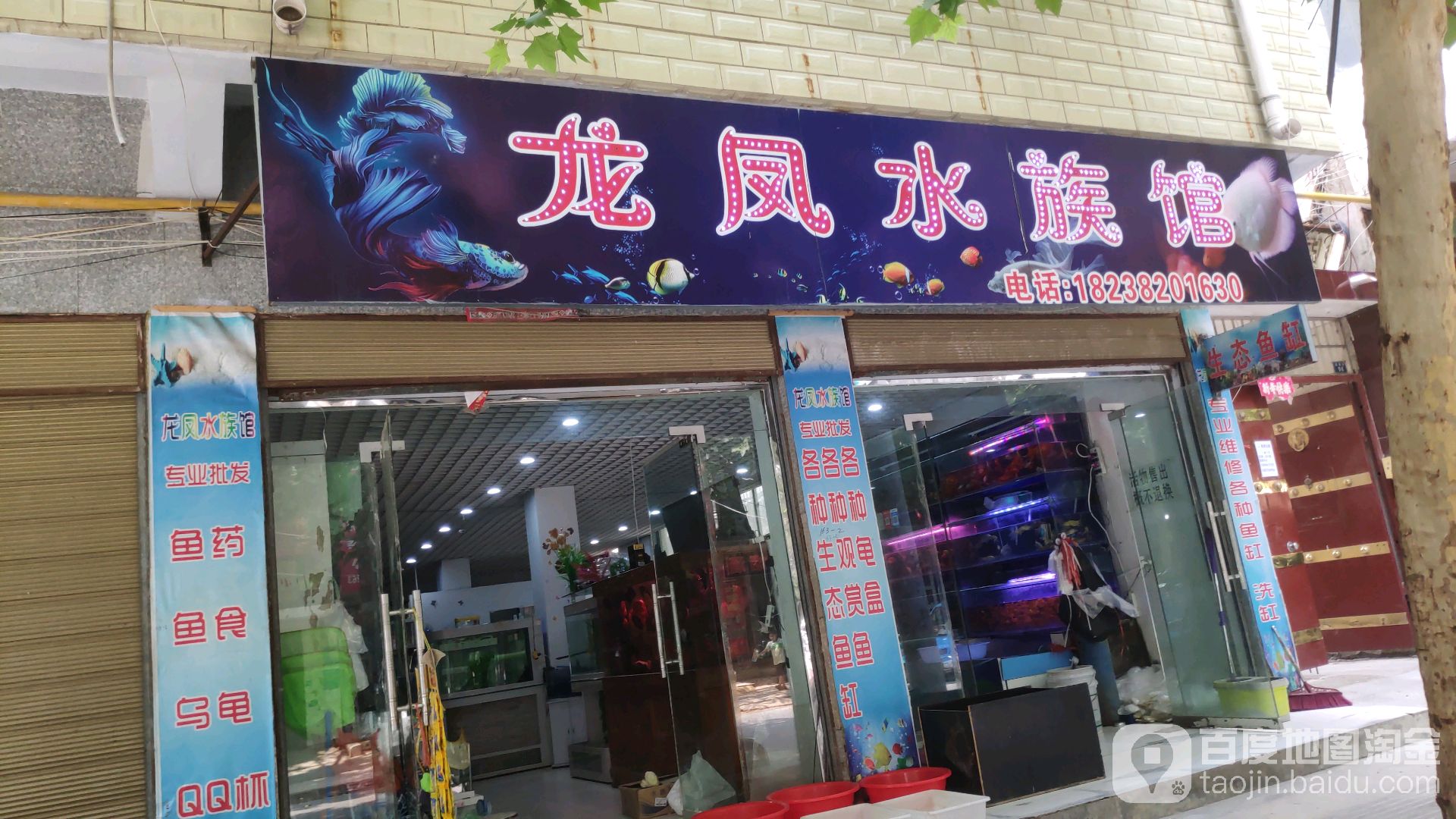 龙风水族馆