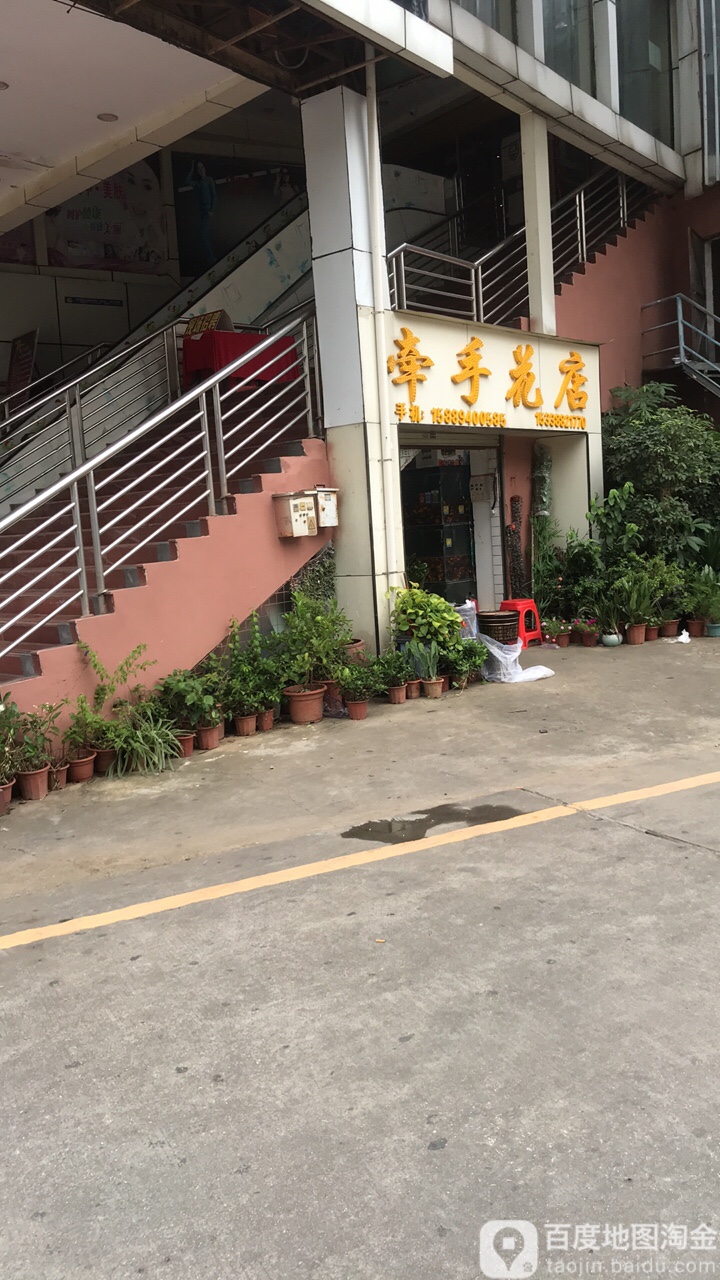 天桥牵手花店