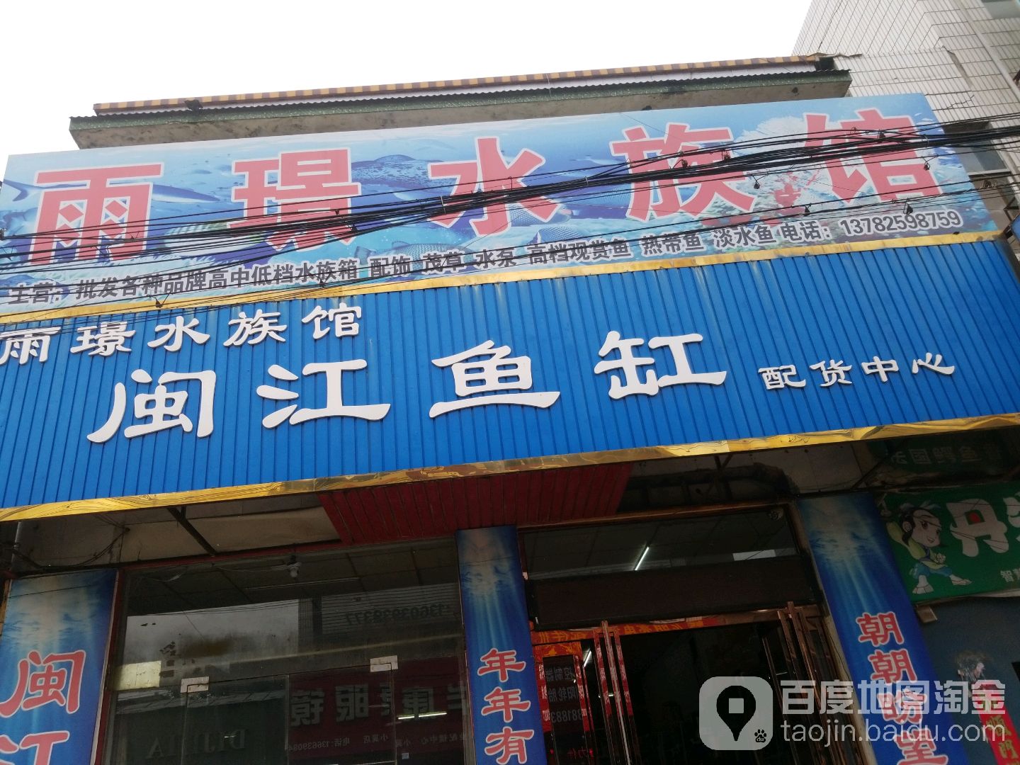 年年有鱼雨璟水族馆(闽江鱼缸旗舰店)