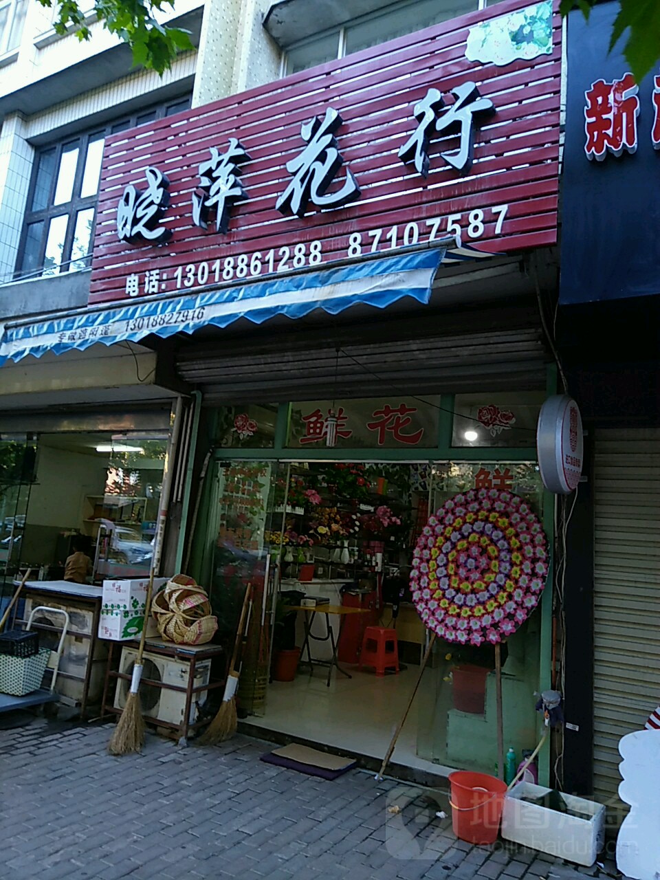 晓萍花行