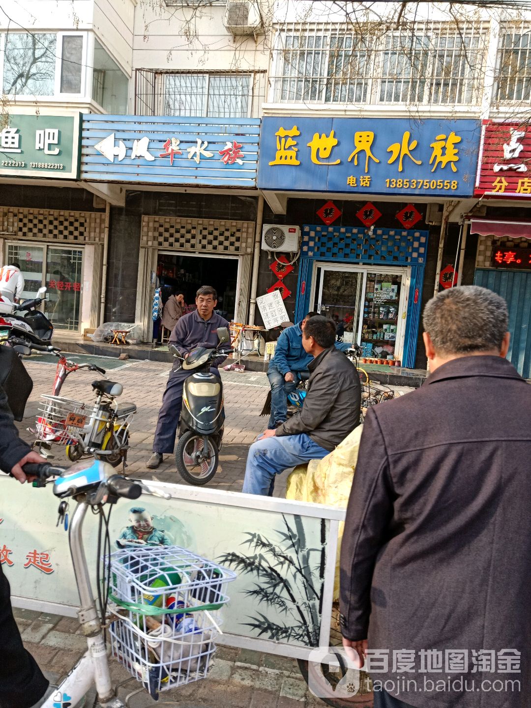 蓝世介水族