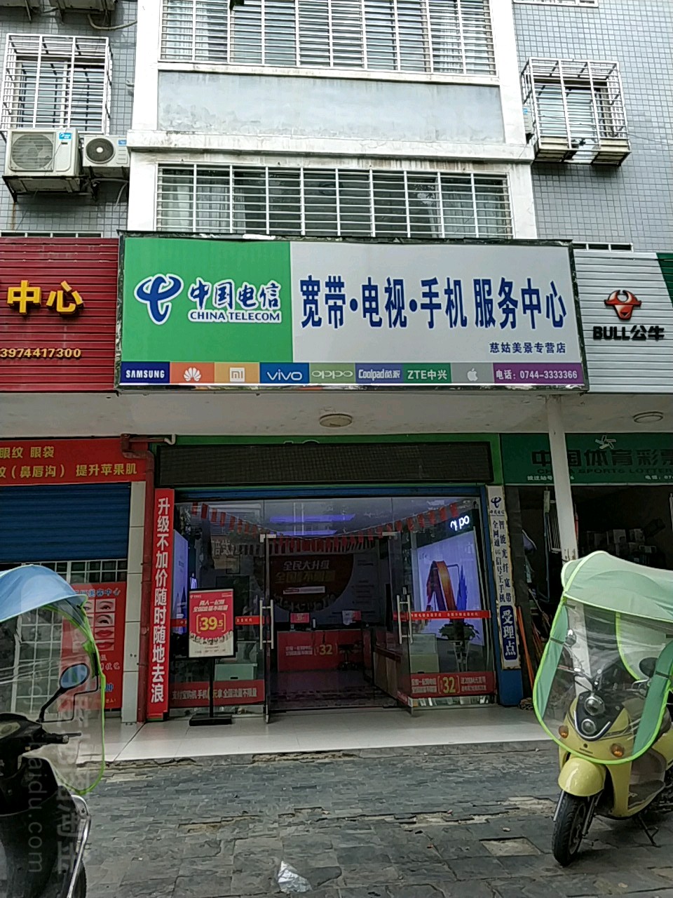 慈姑美景