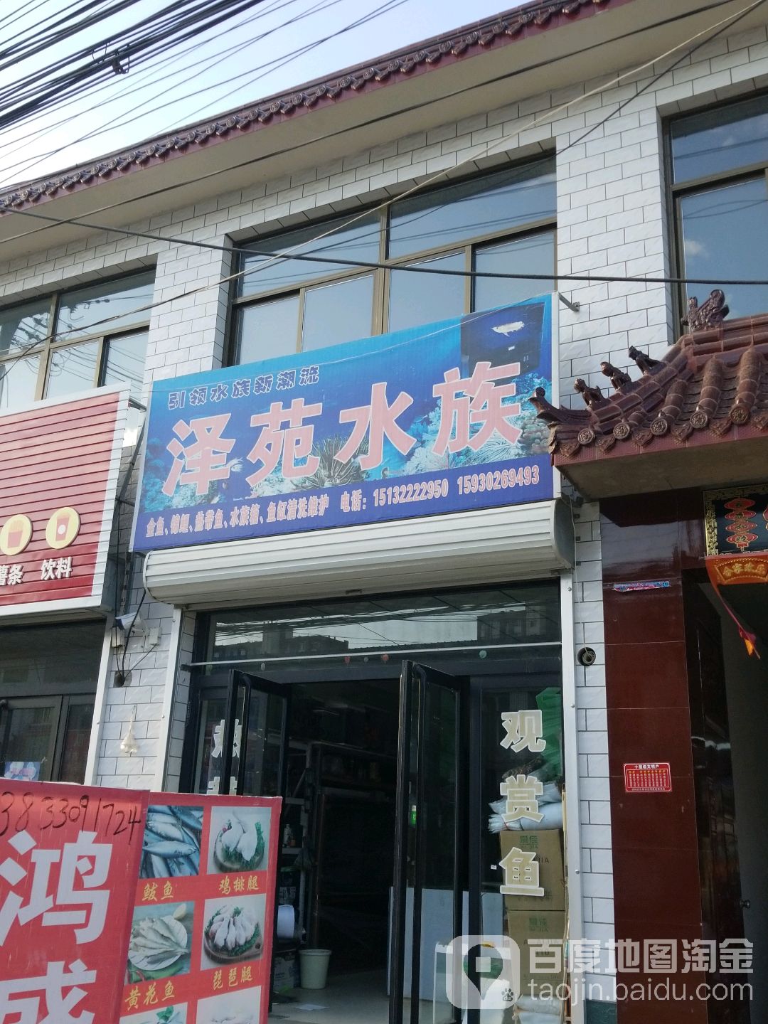 泽苑水族