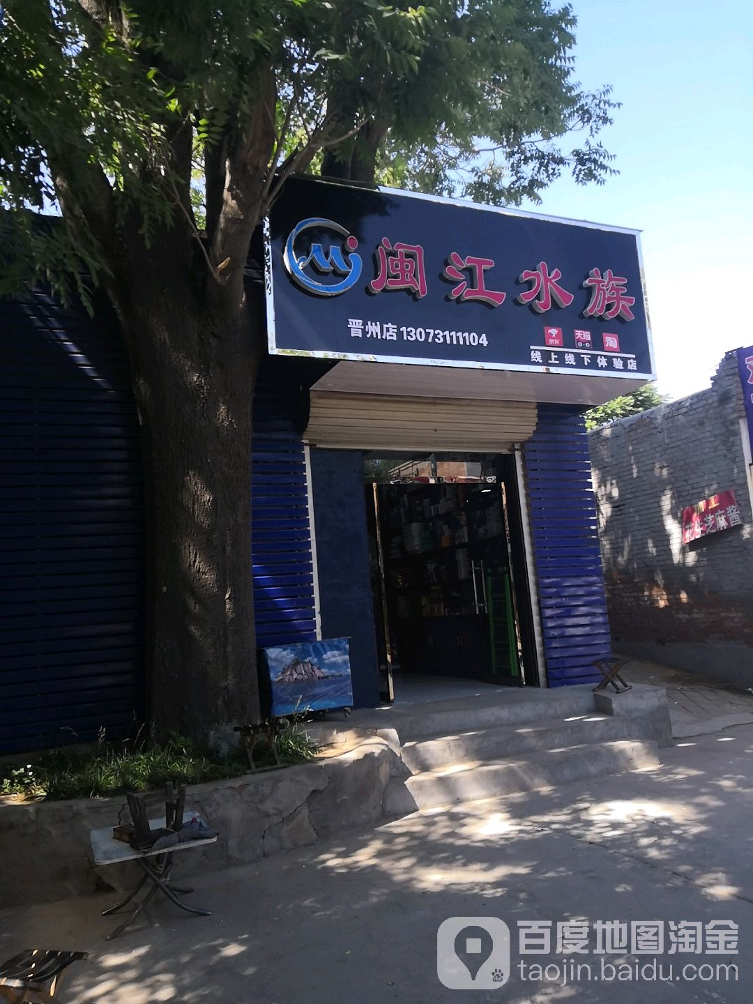 闽江水族(晋州店)
