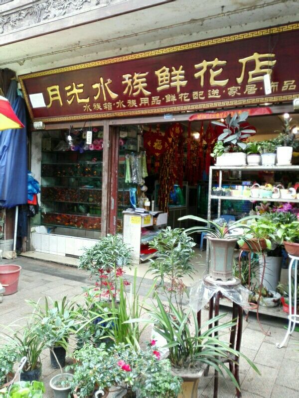 月光水族鲜花店