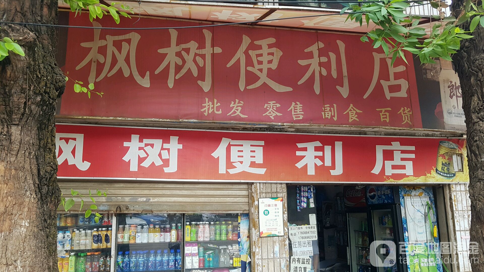 枫树便便利店