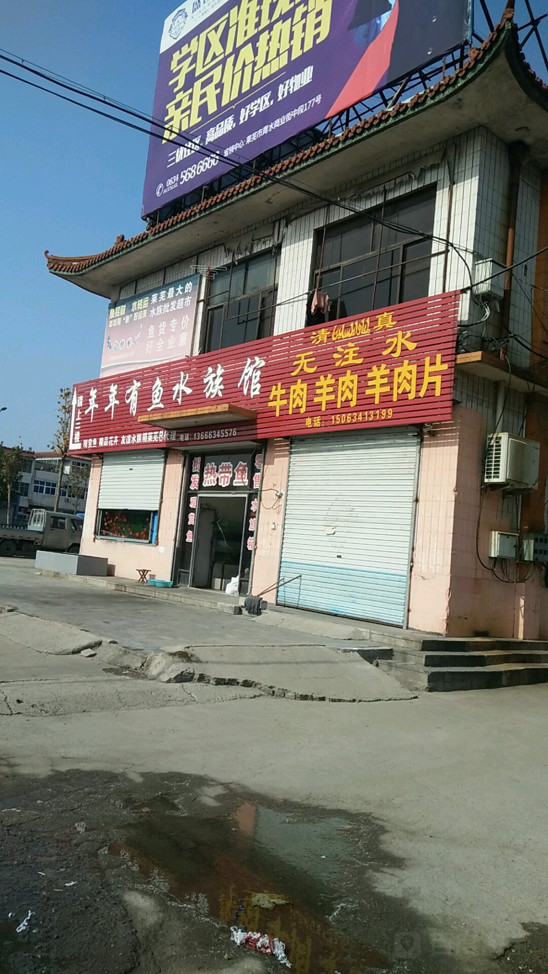 年年有鱼水族馆(东关街店)