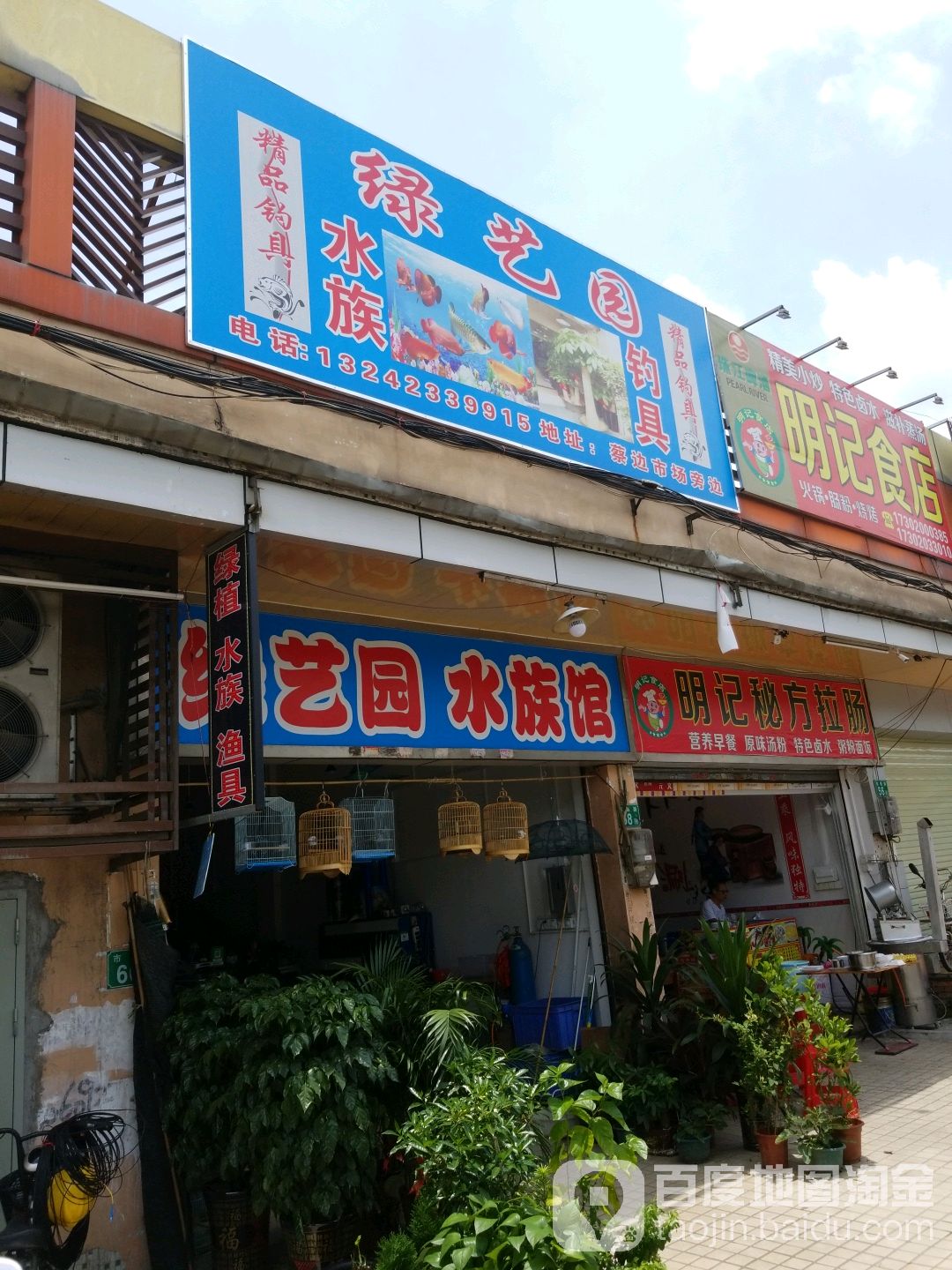 绿园艺水族馆