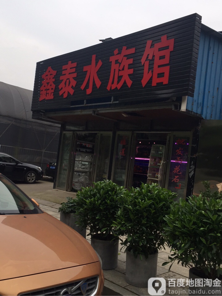 鑫泰水族馆(佳宝专卖店)