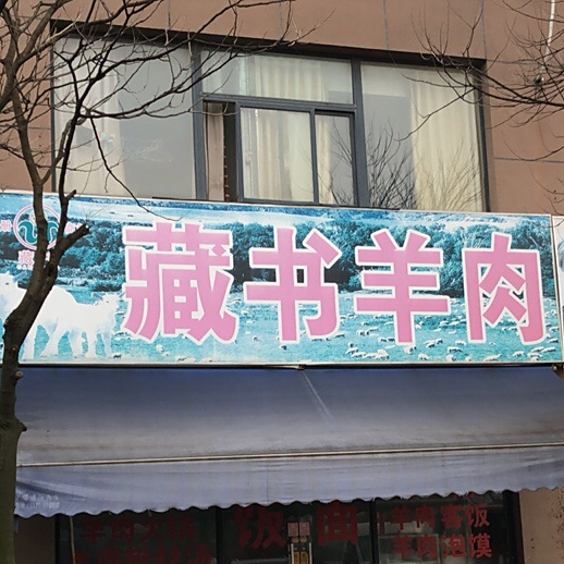 藏书肉羊
