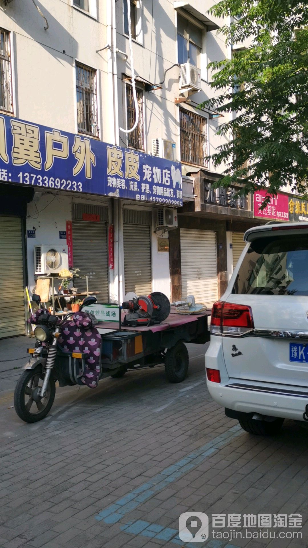 皮皮宠物店(望田路店)