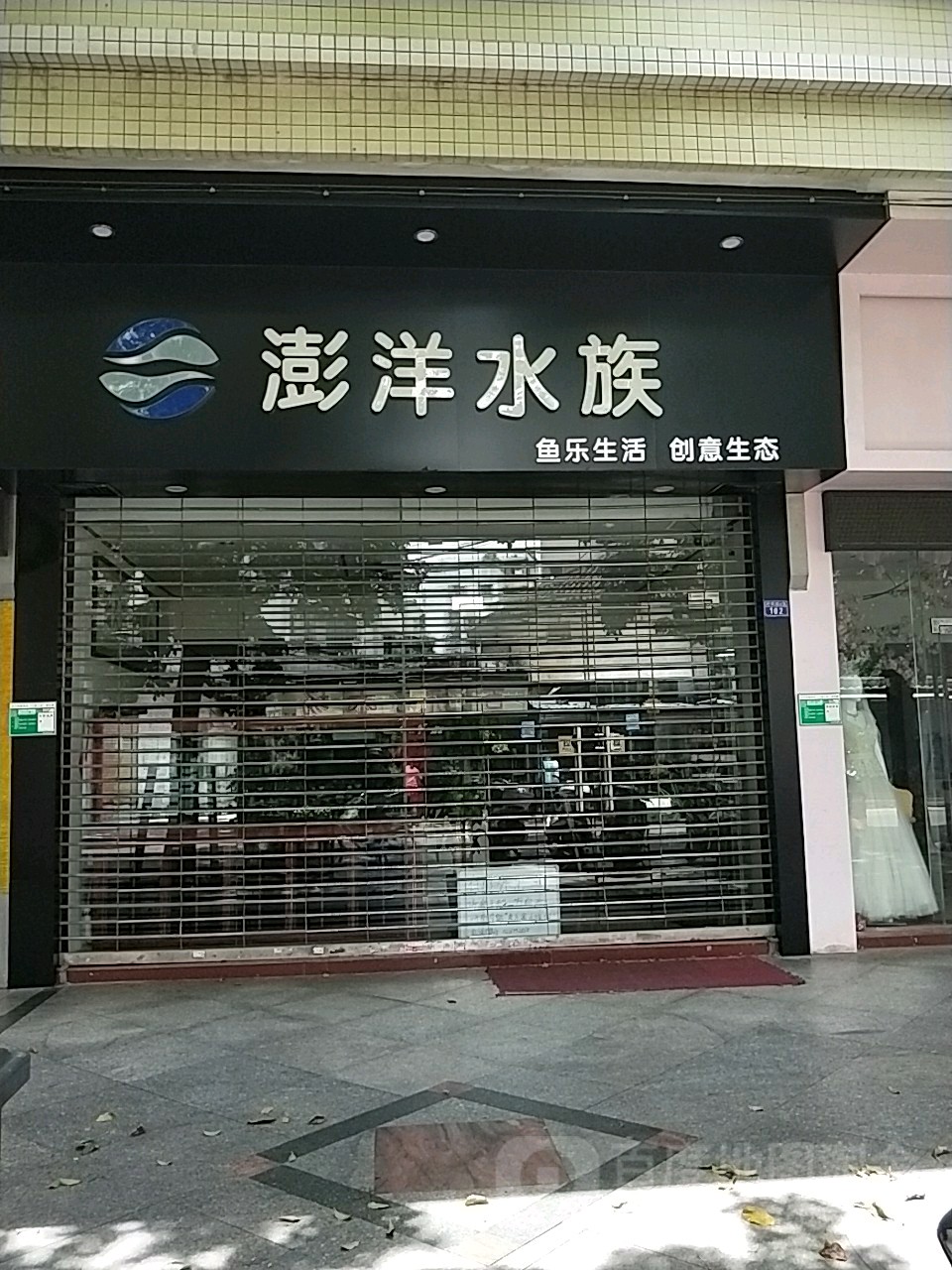 澎洋水族