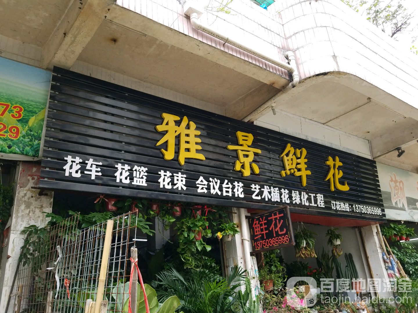 花匠先生雅景鲜花