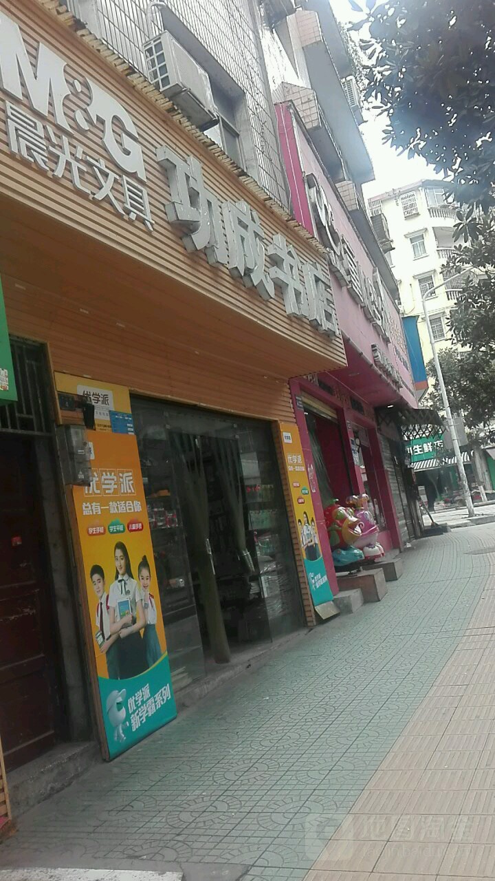 功成书城
