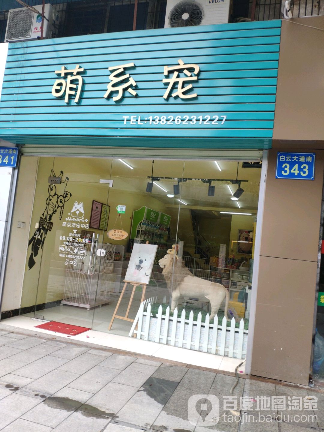 萌系宠动物店