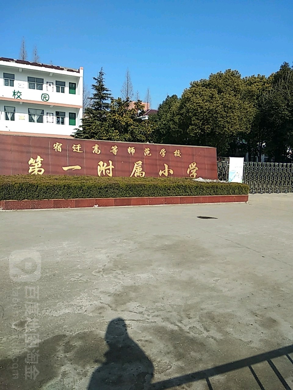 晓店中心小学